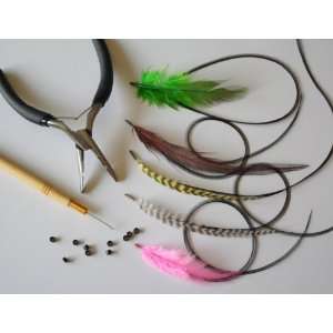  Feather Hair Extensions Kit: Beauty