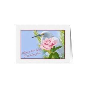  Birthday, Granddaughter, Egret and Pink Rose Card: Toys 
