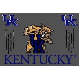  Kentucky Wildcats 4 x 6 Area Rug: Sports & Outdoors