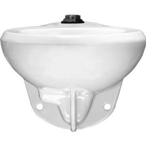   Commercial Elongated Wall Hung Toilet Bowl, White: Home Improvement