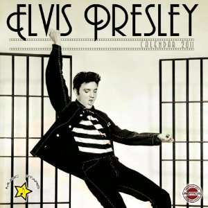  2011 Music Pop Calendars: Elvis Presley   12 Months 