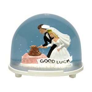  Good Luck Wedding Snow Globe