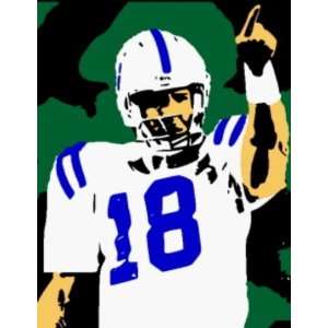  Shadow Color Indianapolis Colts Peyton Manning Print 