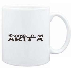  Mug White  OWNED BY Akita  Dogs: Sports & Outdoors