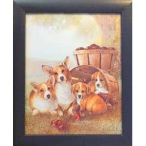  3 Framed Dogs/Puppies Corgi Labrador Yorkie Posters: Patio 