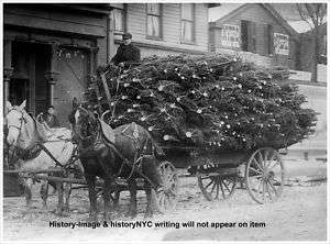 1912 CHRISTMAS TREES IN HORSE WAGON NEW YORK PHOTO  