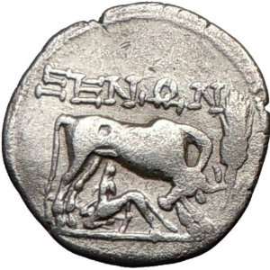 Dyrrhachium (Epidamnos) in Illyria 208BC Cow Authentic Ancient Silver 