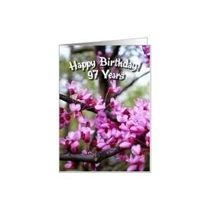  Birthday 97 Redbud Blossom Flowers Card Toys & Games