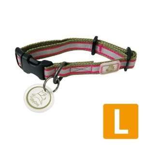  Olly Dog Nightlife II Reflective Collar Sage/Fuchsia   LG 
