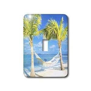 Florene Tropical Landscape   Palm Trees and Hammock With Ocean   Light 
