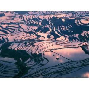  Water logged Rice Terraces at Sunset, Yunnan Province 