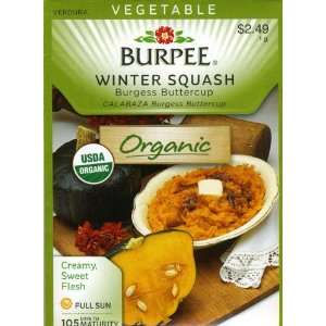  Burpee 69200 Organic Squash, Winter Buttercup Seed Packet 