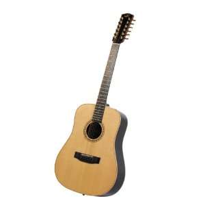   TB 28 12 G Dreadnought 12 String Acoustic Guitar: Musical Instruments