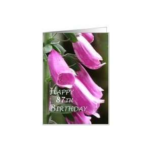  Happy 87th Birthday Flowers Card Toys & Games