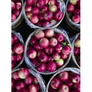  Fresh Apples, Beulah, Lake Michigan Shore, Michigan, USA 