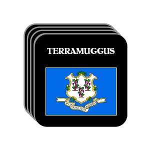 US State Flag   TERRAMUGGUS, Connecticut (CT) Set of 4 Mini Mousepad 