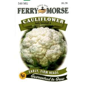  Ferry Morse Seeds 1259 Cauliflower   Early Snowball 540 