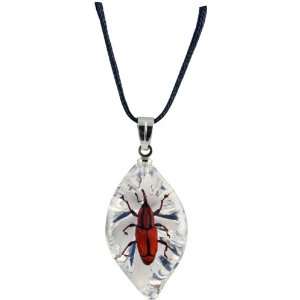  eal Insect in Acrylic Glass Pendant / Necklace Everything 