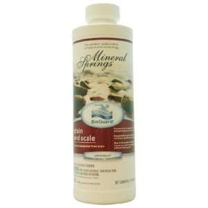  BioGuard Mineral Springs Stain and Scale   1 qt: Home 