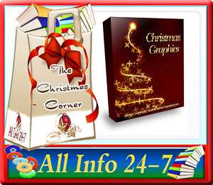 Professional Christmas Graphics Minisite Wordpress  