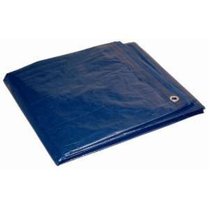 20 X 30 EXTRA Large Blue Multi Purpose Poly Tarp for roof, yard 