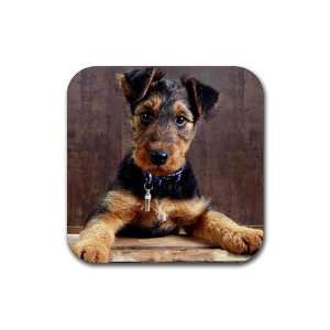  Airedale Terrier Puppy Dog Rubber Coaster (4 pack) DD0003 