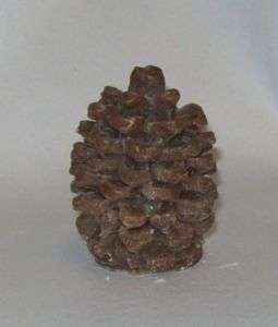 Pine Cone Mold  FlexibleMolds  