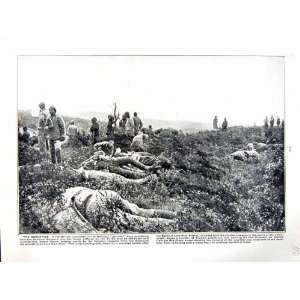  1915 16 WORLD WAR BRITISH CASUALTY GALLIPOLI LONE PINE 