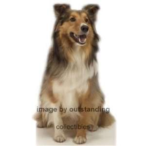  Collie Dog Life size Standup Standee 
