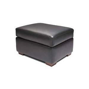 Lisben Ottoman by American Leather Anniversary Collection:  