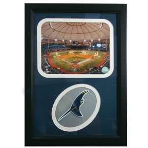  Tampa Bay Rays ALCS Tropicana Photograph with Team Jersey 