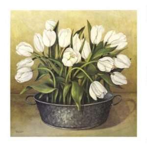  Joyce Galley   White Tulips Canvas