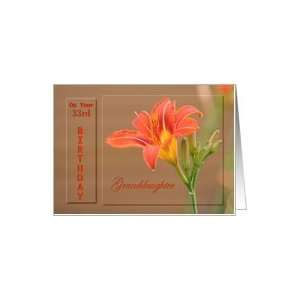   Granddaughter ~ Age Specific 33rd ~ Orange Day Lily Card Toys & Games