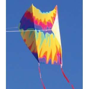 Mini Sled Single Line Kite Tie Dye: Toys & Games