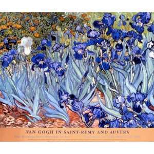 , Garden View (Met.) by Vincent van Gogh   30 x 33 inches   Fine Art 