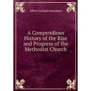  of the Methodist Church Albert Gallatin Meacham  Books