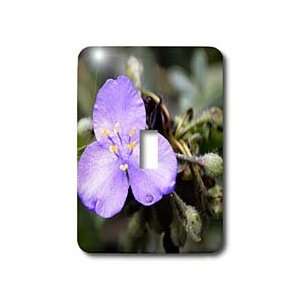   Small Purple flower   Light Switch Covers   single toggle switch Home