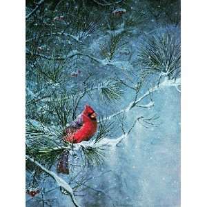 Scott Zoellick   Winter Friend Cardinal 