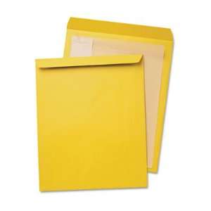  42353   Jumbo Size Kraft Envelope, 12 1/2 x 18 1/2, Light 