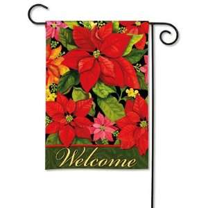  Poinsettia Welcome Arrangement by Jennifer Brinley 