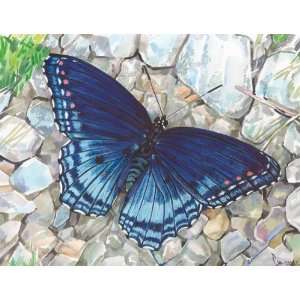 Beautiful Blue Butterfly in Rock Garden Watercolor Painting Signed By 