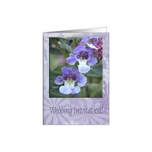  Beard Tongue Purple, Wedding Invitation Card Health 