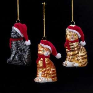   Noble Gems   Santa Cat Glass Ornaments   3 Assorted: Home & Kitchen