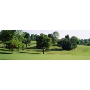  Trees on a Golf Course, Woodholme Country Club, Baltimore 