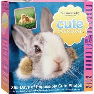  Cute Overload 2012 Daily Box Calendar