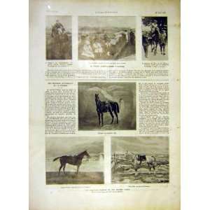    Steeple Chase Horses Bengali Auteuil Gris Vetu 1919