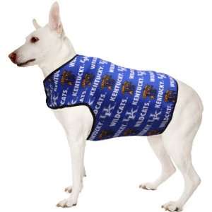    Kentucky Wildcats Royal Blue Dog Jumper (Large)