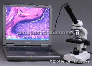   total magnification lowest price anywhere ascaris under 10x objective