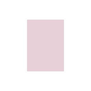  Dimensions Oversized Color Sample   Soft Peony: Home 