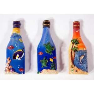  Handpainted Beach Ocean Scenery Assorted Wine Bottle 
